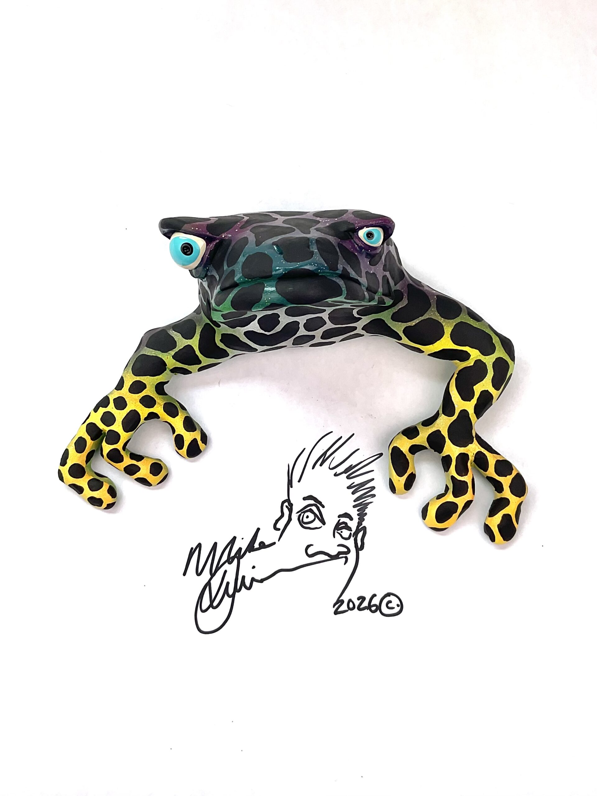 Little Big Eye - Frog Wall Art