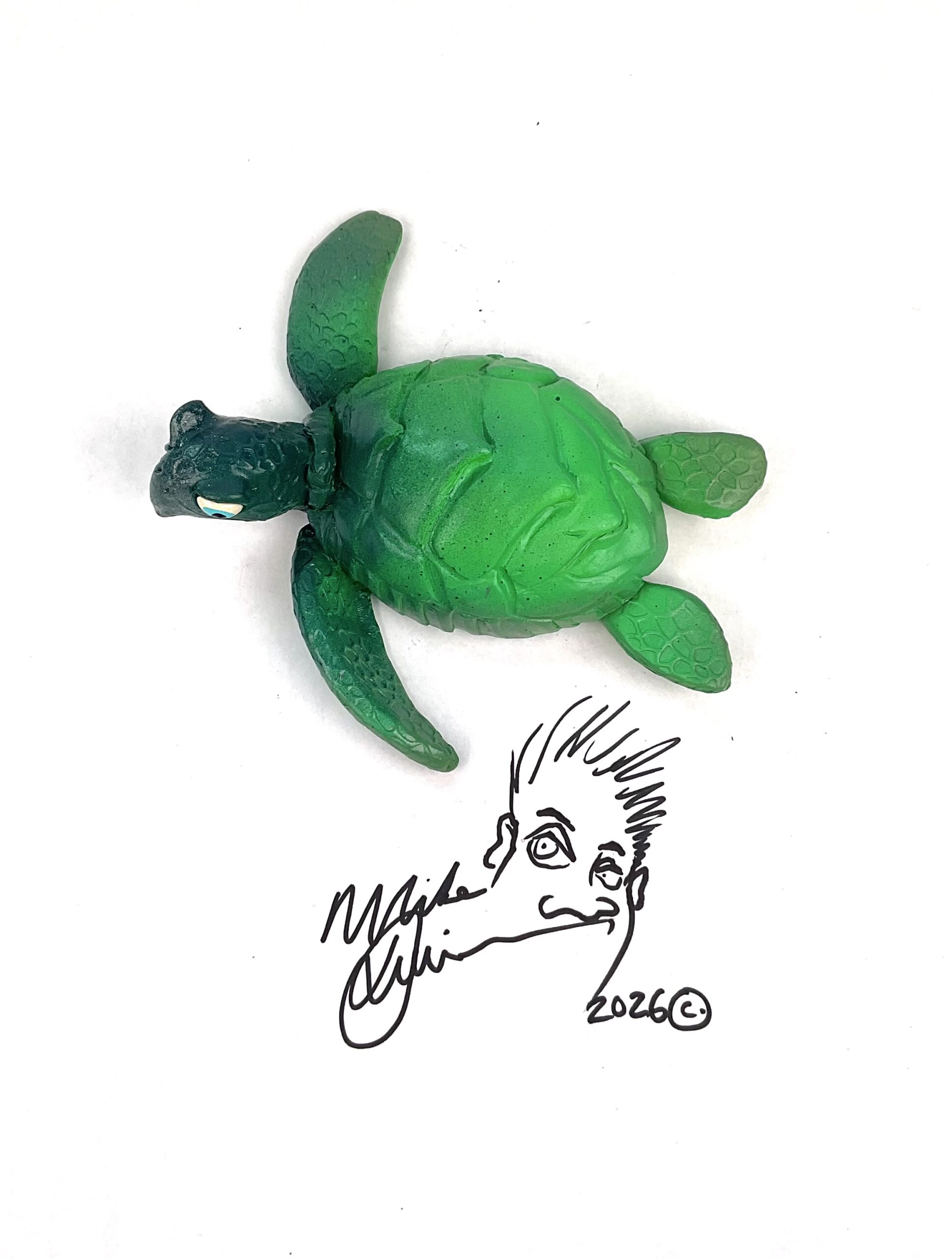 Timmy- Sea Turtle