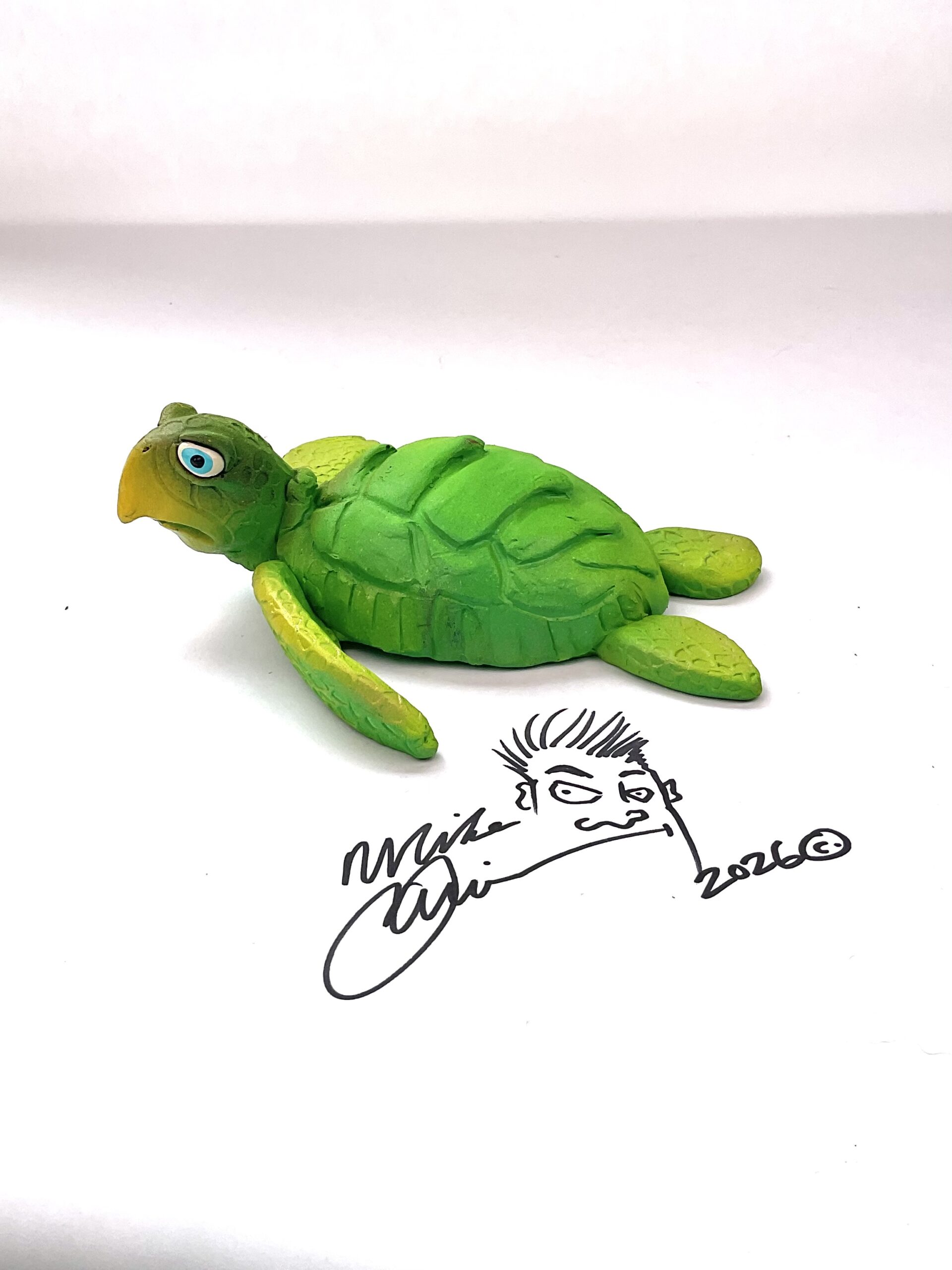 Timmy- Sea Turtle