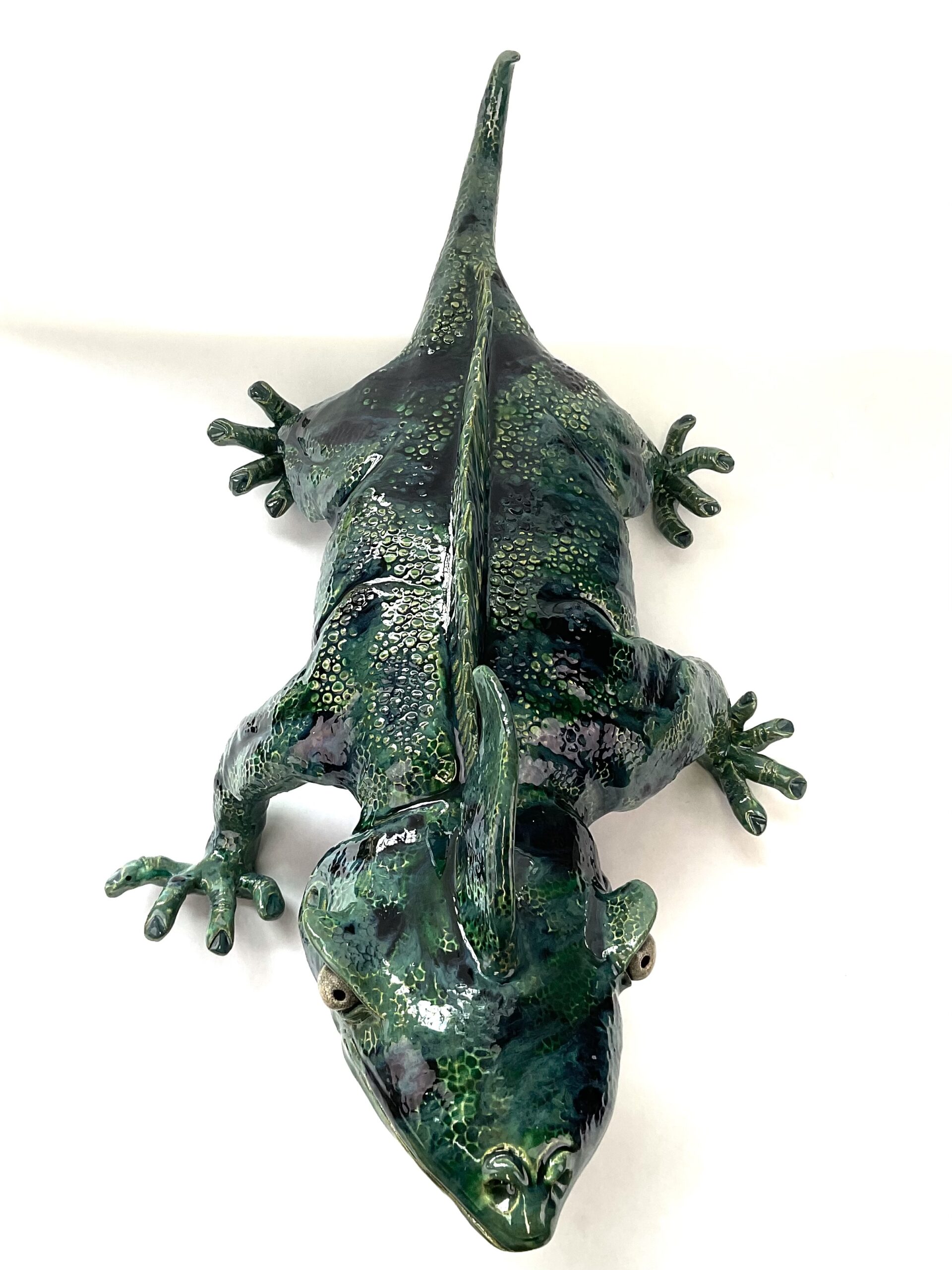 Large Glazed lizard - Fast Freddy ** PICK UP ONLY** - Image 4