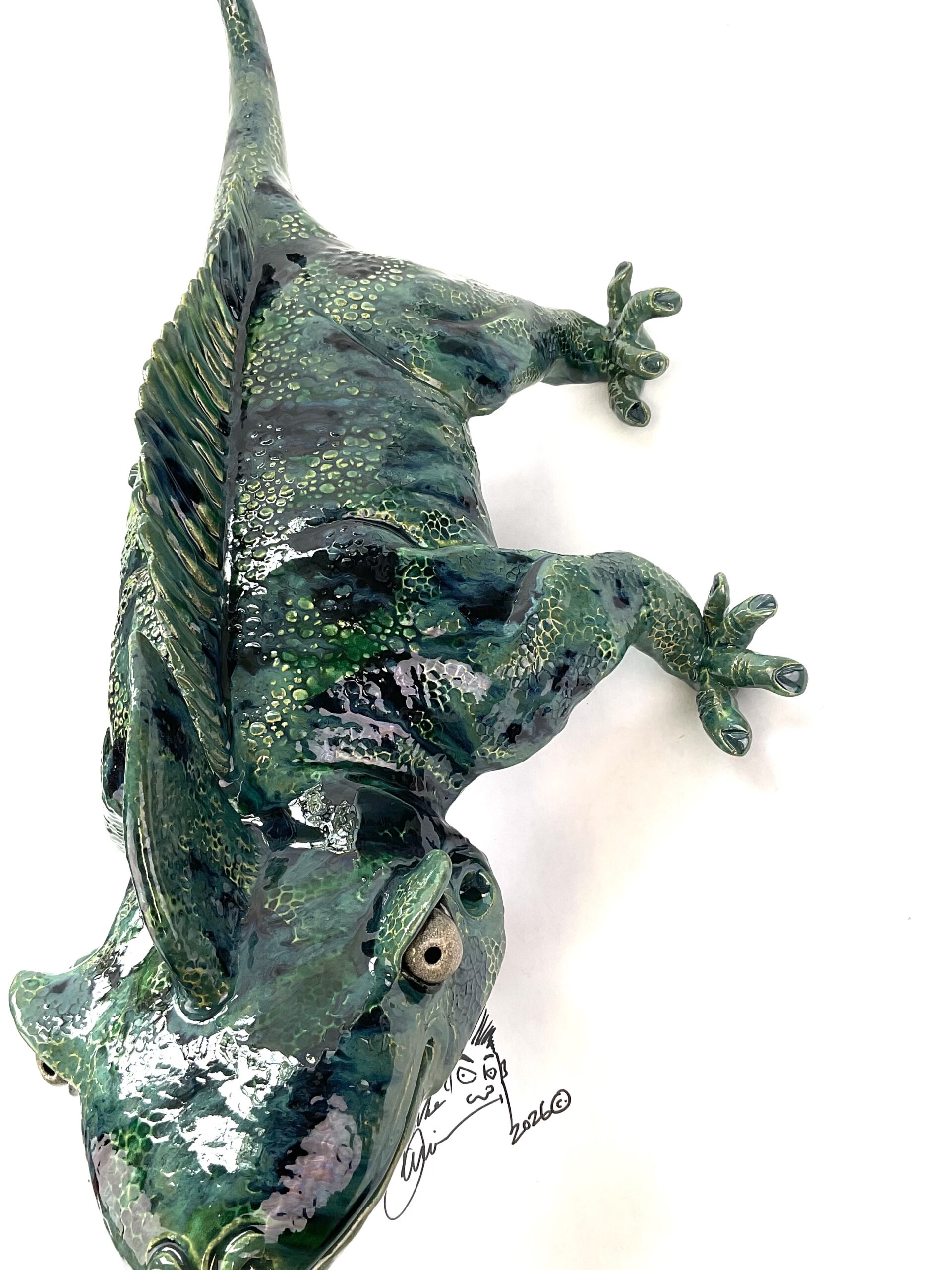 Large Glazed lizard - Fast Freddy ** PICK UP ONLY** - Image 5