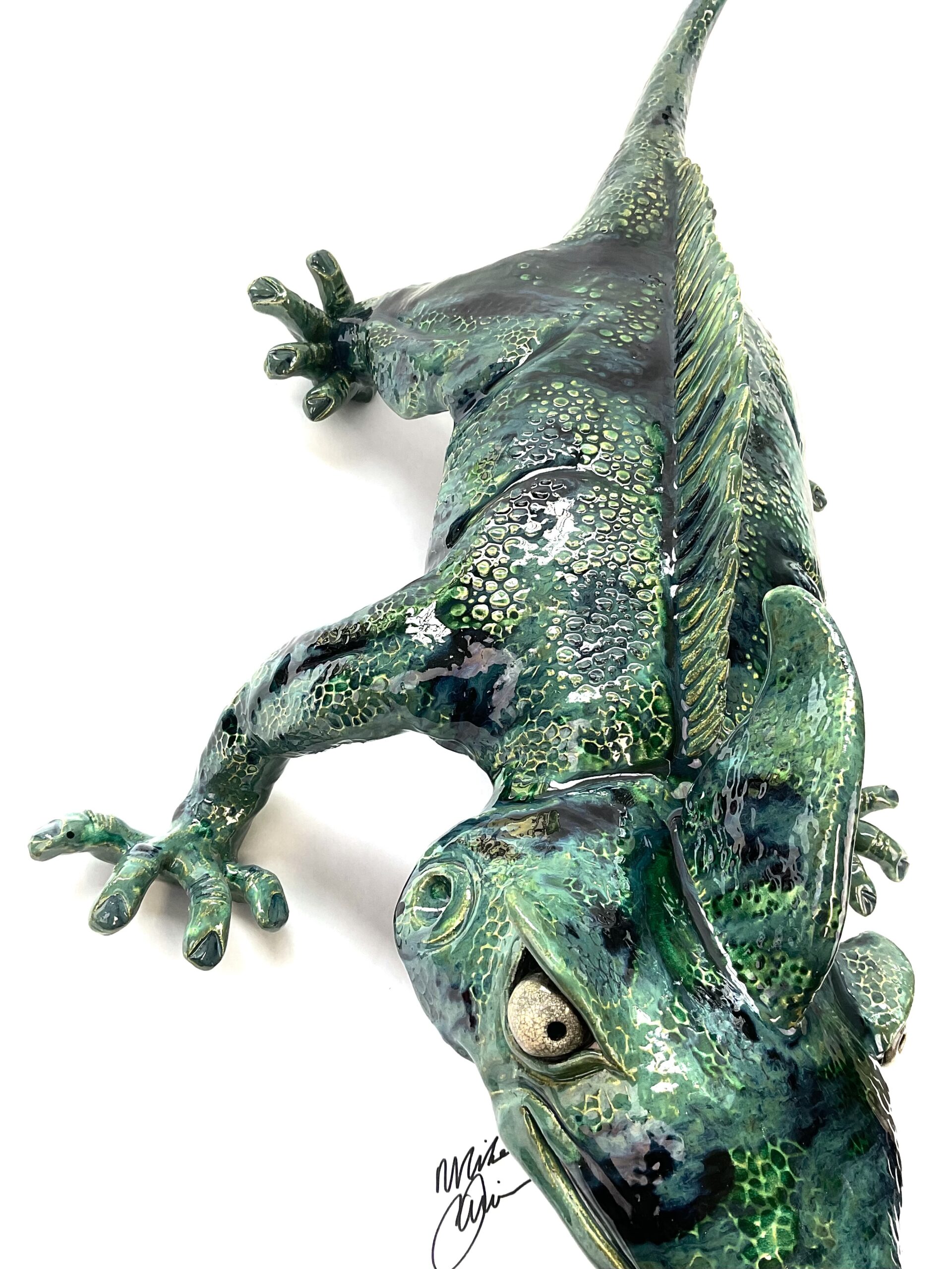 Large Glazed lizard - Fast Freddy ** PICK UP ONLY** - Image 6