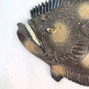 Flat Freddy - Fish with Attitude