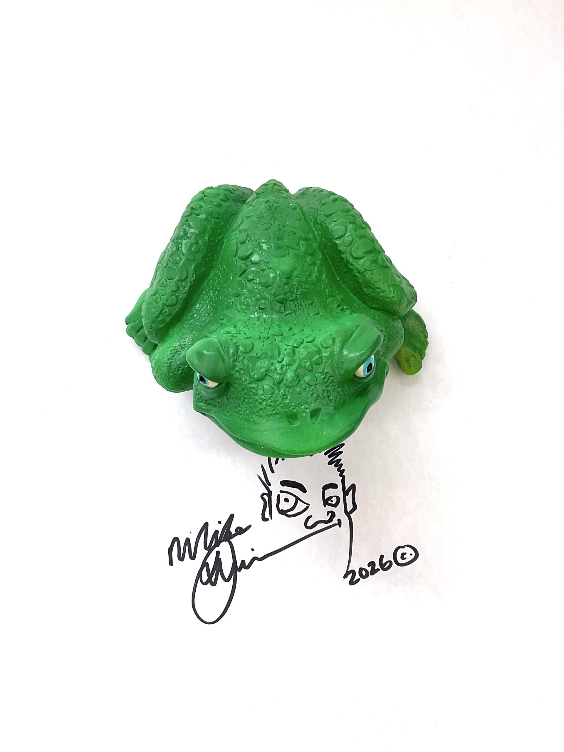 Florida Steve - Frog Art - Image 3
