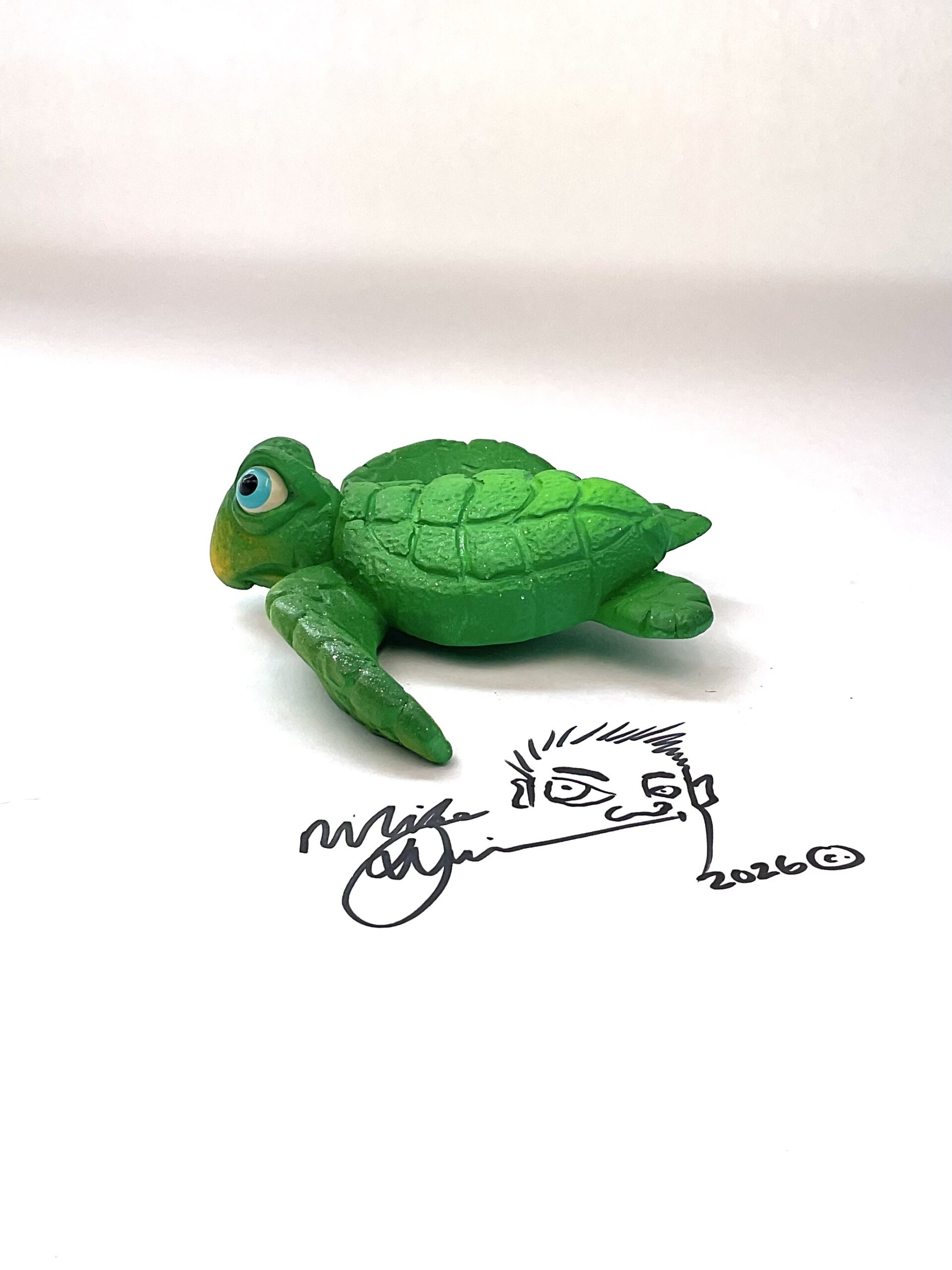 Little Ricky Sea Turtle - Mike Quinn