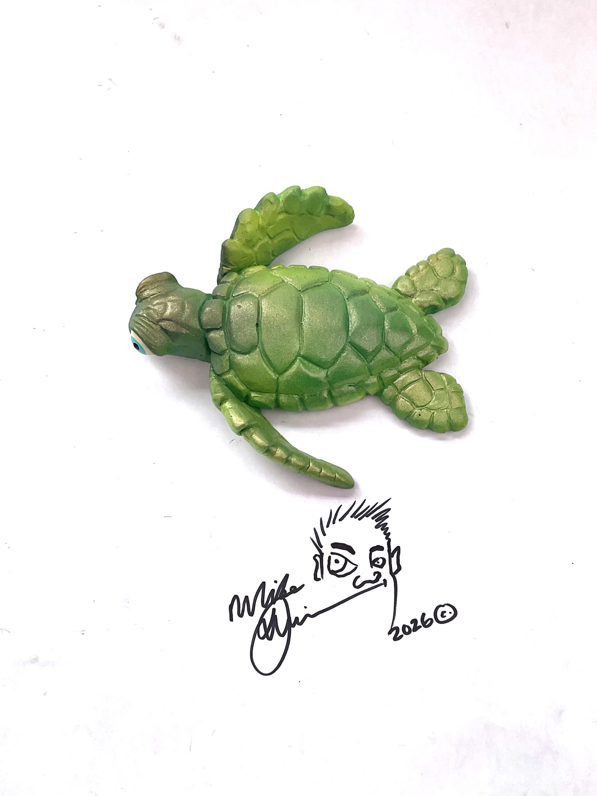 Dr. Honu -Sea Turtle Wall Art