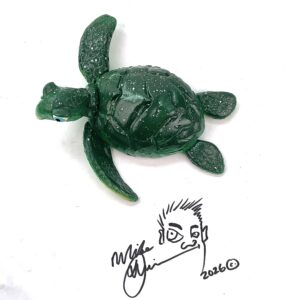 Timmy- Sea Turtle