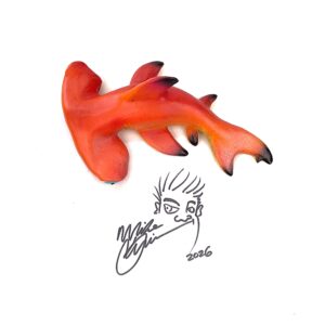 Wild Big Bad Bill - Hammerhead Shark - Fish With Attitude